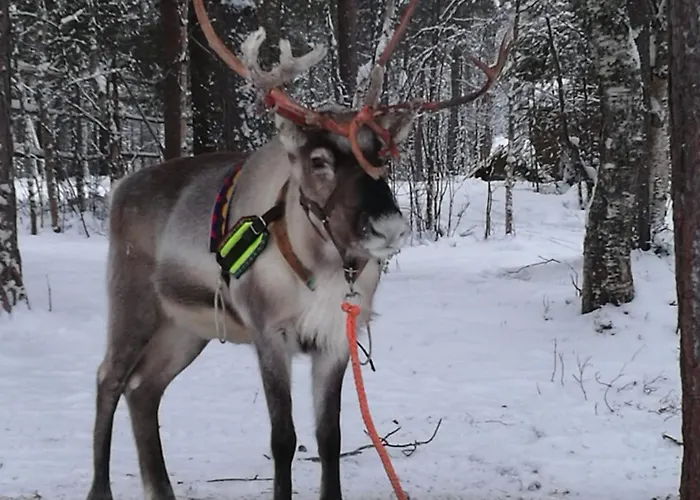 Kaikuranta ヴィラ